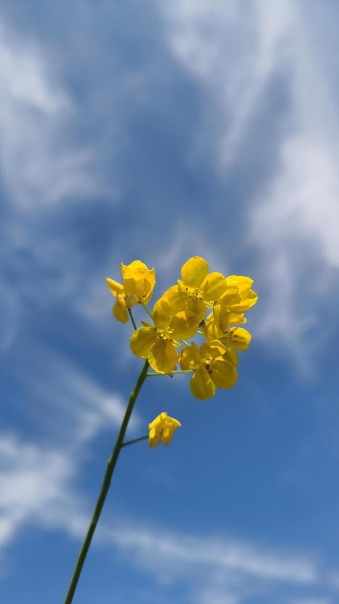 控制不了生命中变化无常 就尝试着随遇而安